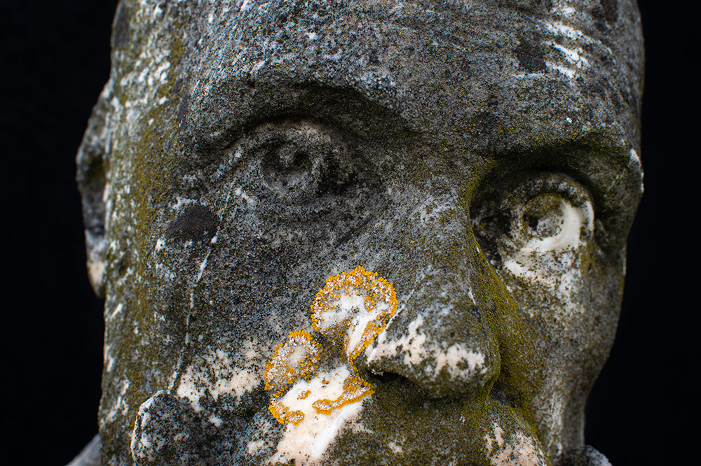 Statue with lichens on face. Image from the series Renasance.