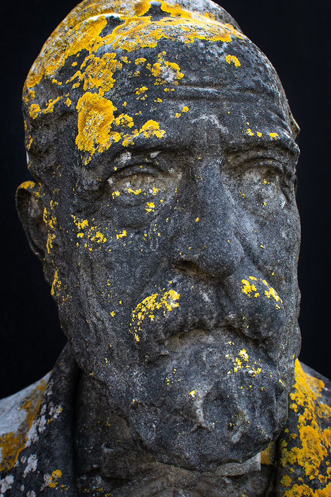 Statue with lichens on face. Image from the series Renasance.