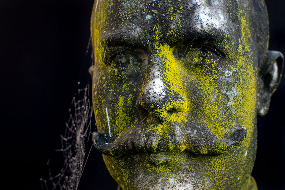 Statue with lichens and spider web. Image from the series Renasance.