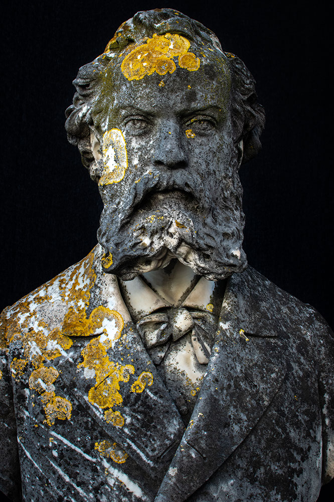 Statue with lichens. Image from the series Renasance.