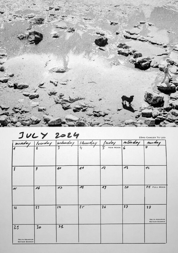 Calendar 2024 TideScape by Pieter Dedoncker - sample month July